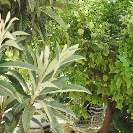 Appartement Casa Xs Alvor